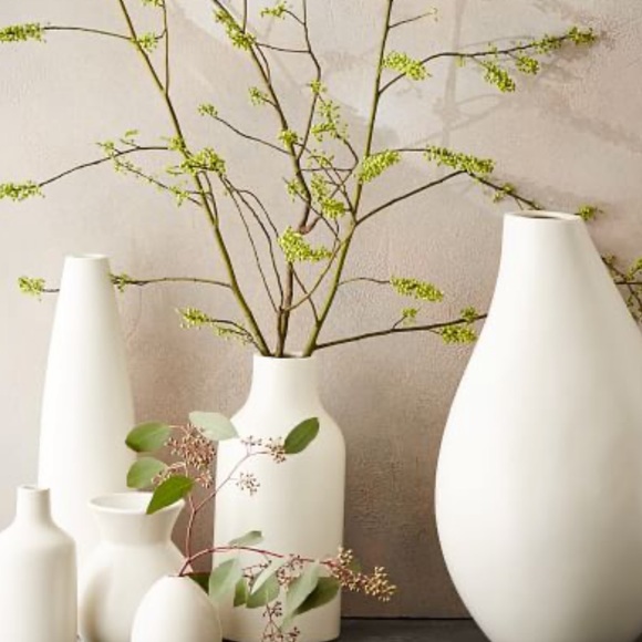 Meet your Posher, Adelina - Picture 1 of 1